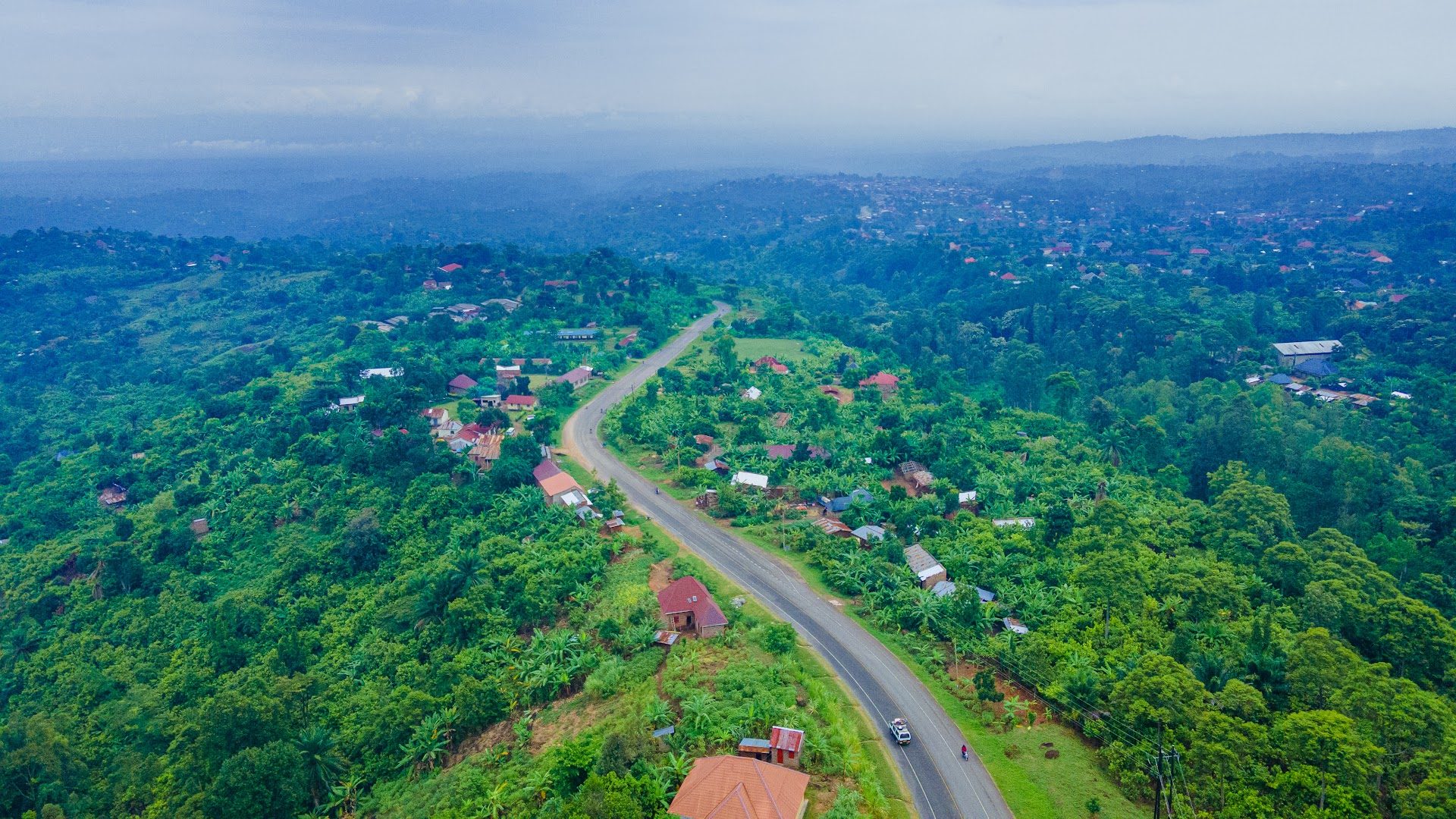 Aerial view of cocoa country in western Uganda