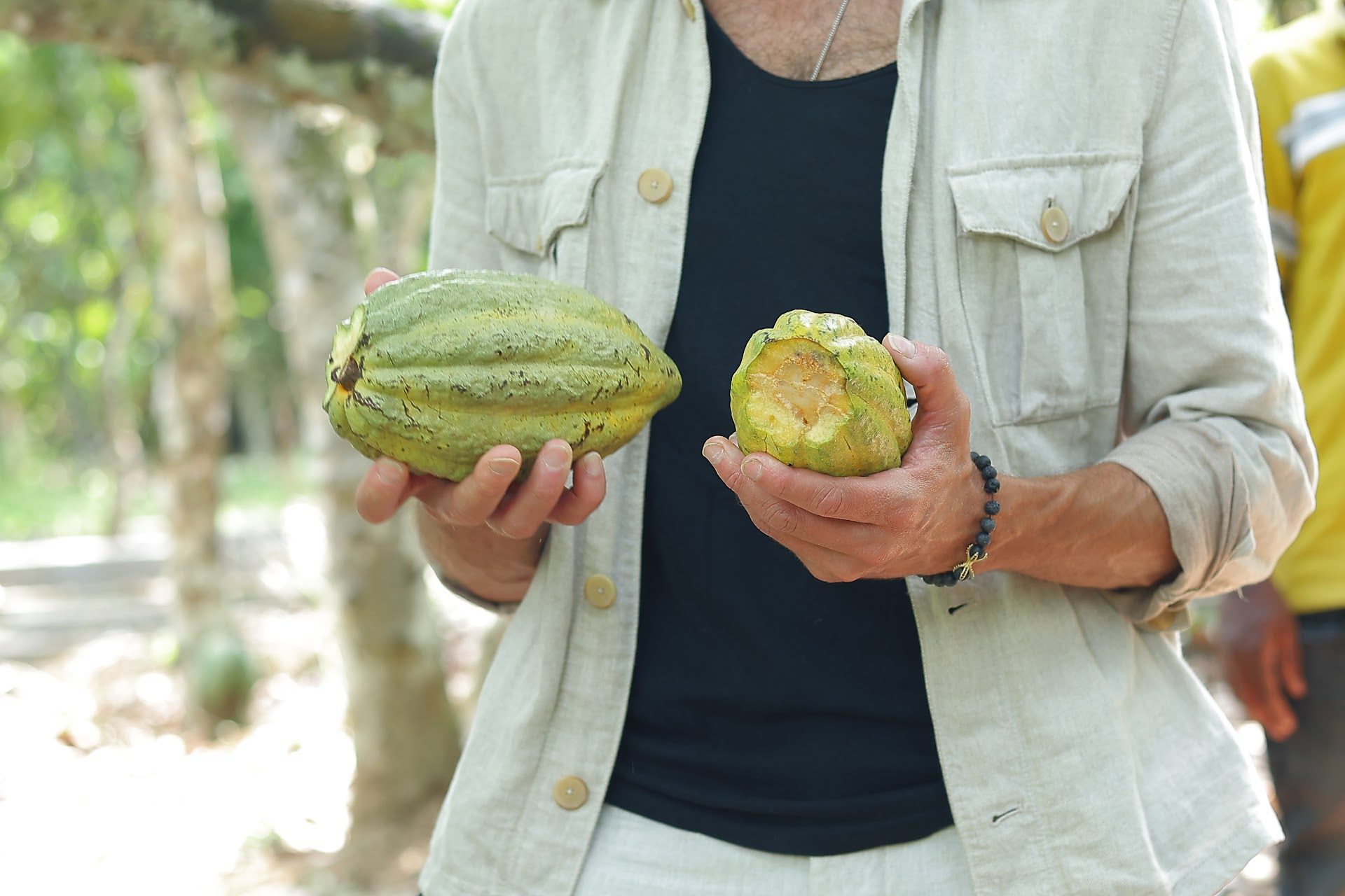 Quality control of fresh cocoa pods